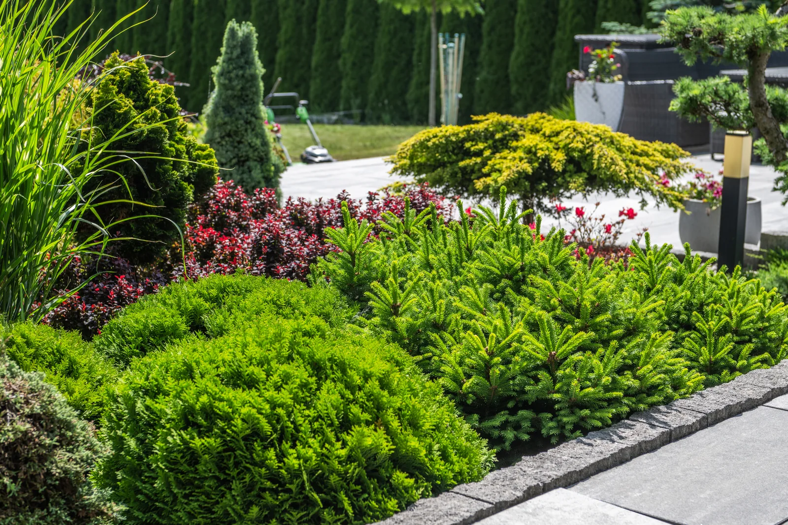 Landscaped garden with shrubs, planted beds, and a stone pathway